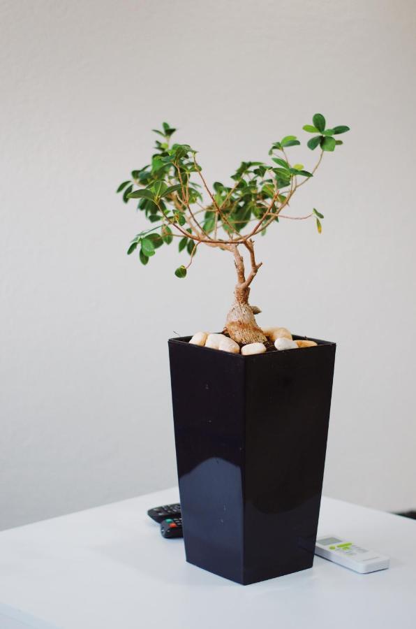 Mokaa Apartment モスタル エクステリア 写真